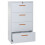Armoire pour dossiers suspendus MCW-A10 1