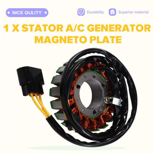 21040109702 Stator A/C Generator Magneto Plate for ODES UTV 1000 Dominator X2 1