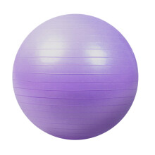 Professional Gym Grade Exercise Ball, Extra Thick Design Ensures Safety Under Weight For Pilates, Physiotherapy, And Use As A Birthing Ball, Ergonomic