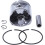 50mm Piston Kit for 365 372XP 372 4