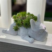 2 STK Fransk Bulldog Form Harts Suckulent Planter  Valpar Planter Planter, Desktop Plant Kruka Hund Form Bonsai