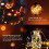 300LED Curtain String Lights 8 Modes, 3x3m Warm White with Remote 4