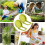 Sprouting Lid for Wide Mouth Mason Jars with Stand, Optimized Airflow and MultiVegetable Support 3