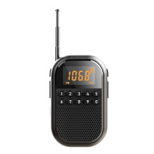 Radio FM AM de Bolsillo con Pantalla LCD , Receptor de Radio, Altavoz  Inalámbrico, Reproductor de Música con Tarjeta TF para