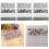 9Pcs Flower Plastic Embossing Folders for Card Making, 14.4x6cm 12