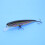 Predator Gamefish Lure, Maximum Side Flash for Unmatched Attraction, High Pitch Rattle for Increased Attention, Universal Color Patterns, True 4