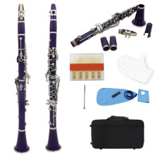 Beginner Clarinet 17 Keys Bb Clarinet 6 Rings Purple Clarinetto Portable Bakelite Clarinet with Accessories for Woodwind Instruments