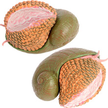 10Pièces Modèles Escargot Réalistes Vert Olive Jouets Éducatifs Enfant