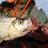 Wurm-Swimbaits, Shad-Köder, robuste Konstruktion, reißfest, weiche Kunststoffköder, Süßwasser-Barschköder, Crappie-Zander-Köder, naturgetreu 5