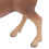 Lebensechte Hirsch Figur Spielzeug Dschungel Zoo 14