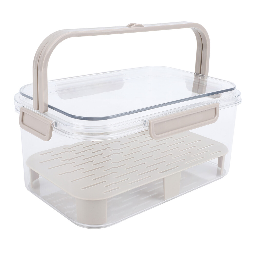 Airtight Portable Food Storage Container 25x16.5x11.5cm Coffee