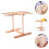 3Pcs Assorted Color Pasta Drying Rack Noodle Hanger Detachable 10