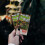 4Pcs Halloween Party Trick Toys Plastic Prank Envelopes Assorted 5