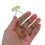 2St Plastic Lichtegroene Lens Applicator Voor Onzichtbare Reis 4