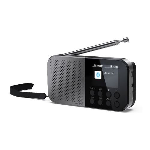 Sharp SHARP Osaka DR-P520 Bærbar Radio Sort og Grå