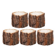 5Pcs Wooden Pen Holder with Creative Bark Design for Desk Organization