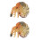 2Pièces Modèles Nautilus PVC Colorés Jouet Educatif Et Décor 6