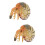 2Pièces Modèles Nautilus PVC Colorés Jouet Educatif Et Décor 8