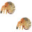 2Pièces Modèles Nautilus PVC Colorés Jouet Educatif Et Décor 7