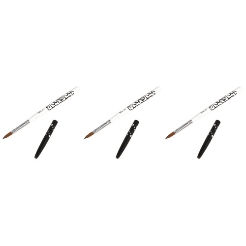 3Pièces Pinceaux Nail Art Blancs Structure Solide Usage DIY 2