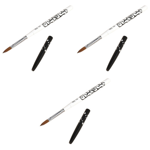 3Pièces Pinceaux Nail Art Blancs Structure Solide Usage DIY 1