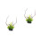 2Pièces Plantes Décoratives Vertes Aquarium Ornement Secure Durable 3