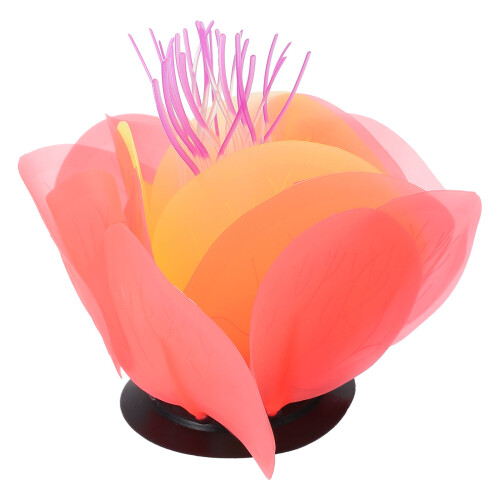 2Pièces Décoration Poissonnière Silicone Couleur Orange