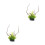 2Pièces Plantes Décoratives Vertes Aquarium Ornement Secure Durable 5