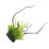 2Pièces Plantes Décoratives Vertes Aquarium Ornement Secure Durable 2