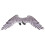 4Pcs Comfortable Wing Props for Party and Stage Dress Up 2