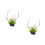 2Pièces Plantes Décoratives Vertes Aquarium Ornement Secure Durable 8