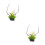 2Pièces Plantes Décoratives Vertes Aquarium Ornement Secure Durable 6