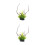 2Pièces Plantes Décoratives Vertes Aquarium Ornement Secure Durable 7