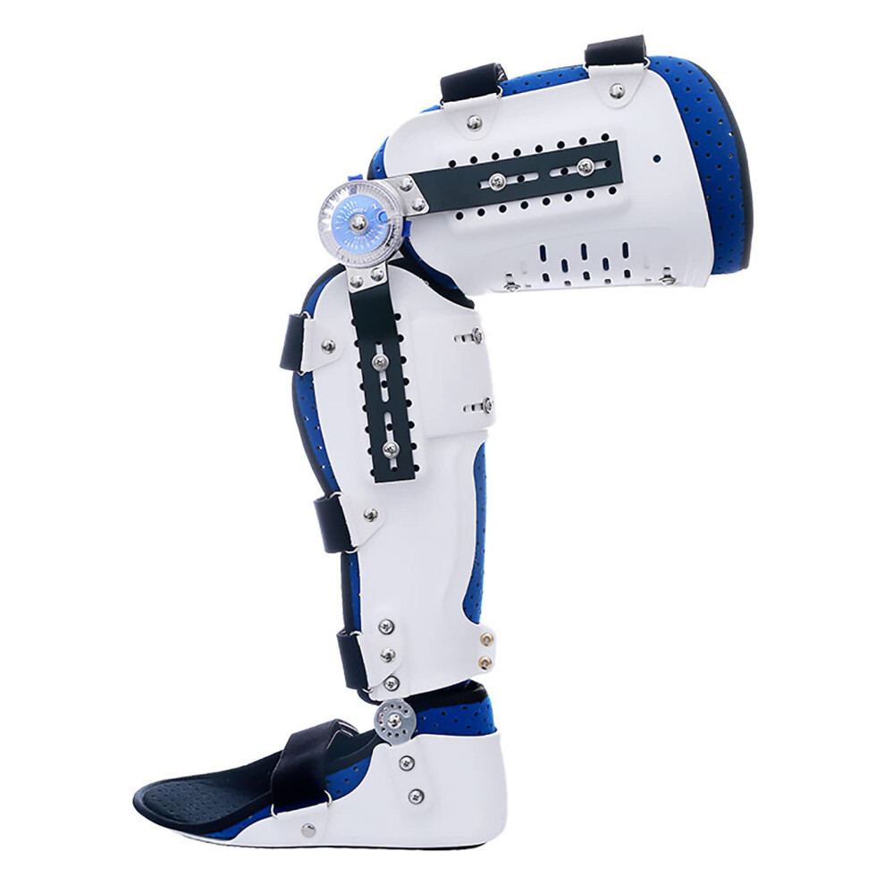 Knee Brace Ankle Foot Orthosis Adjustable Calf and Ankle Fixation Splint (Right L)