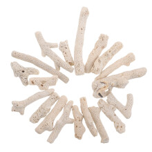5Pièces Corail Décoration Aquarium Clair Filtre Efficace