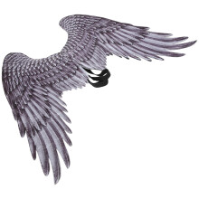 4Pcs Lightweight Wing Costume Props for Theme Party Use