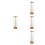 4St Strohouder Reusable Voor Balie Met 5