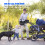 Universal Stroller Cup Holder with 2 Silicone Flaps for Stability 4