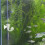3St Co2 Meetinstrument Met Zuignap Plantenbak in 6