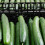 2Pièces Clôture De Rayon Noire Protection Fruits 4
