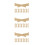 30Pièces Raffermissant Marron Invisible PVC 7