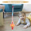 Roze Baby Push Pull Hond Speelgoed Leerloop Plastic Loopwagen 7