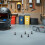 10 Sets M5 Motorfiets Windscherm Schroeven, Moeren En Ringen 6