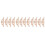 12St Onlay Appliques Beige Voor Meubels En Bedframe 7