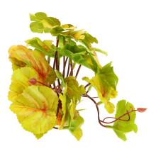 Simulated plant ornaments, reptile plants, facility, fake plants, terrarium, artificial plants, simulated plant decor, terrarium plant, plastic