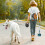 Dog Pooper Scooper Long Handle Foldable Ergonomic ABS PP Dog Poop Scooper 5