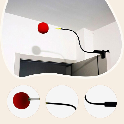 Volleyball Training Tool For Skill Development Adjustable Height Model Compatibility Specifications 2