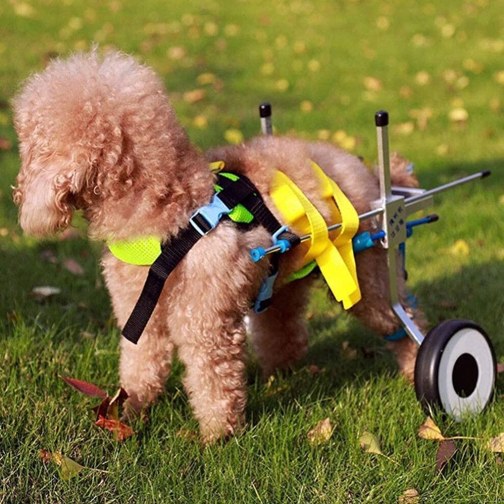 Hund wheelchair, walking aid for hind legs, lightweight, vetapproved for dogs.