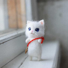 Comprehensive cat doll needle felting material pack, for crafters (white seafood) White seafood