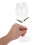 1Un Taça De Vinho Com Flor Claro Para E Eventos 4